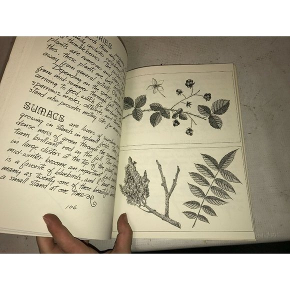 The Complete Book of Bird Houses and Feeders, Russo & Dewire, 1979 - Picture 6 of 8